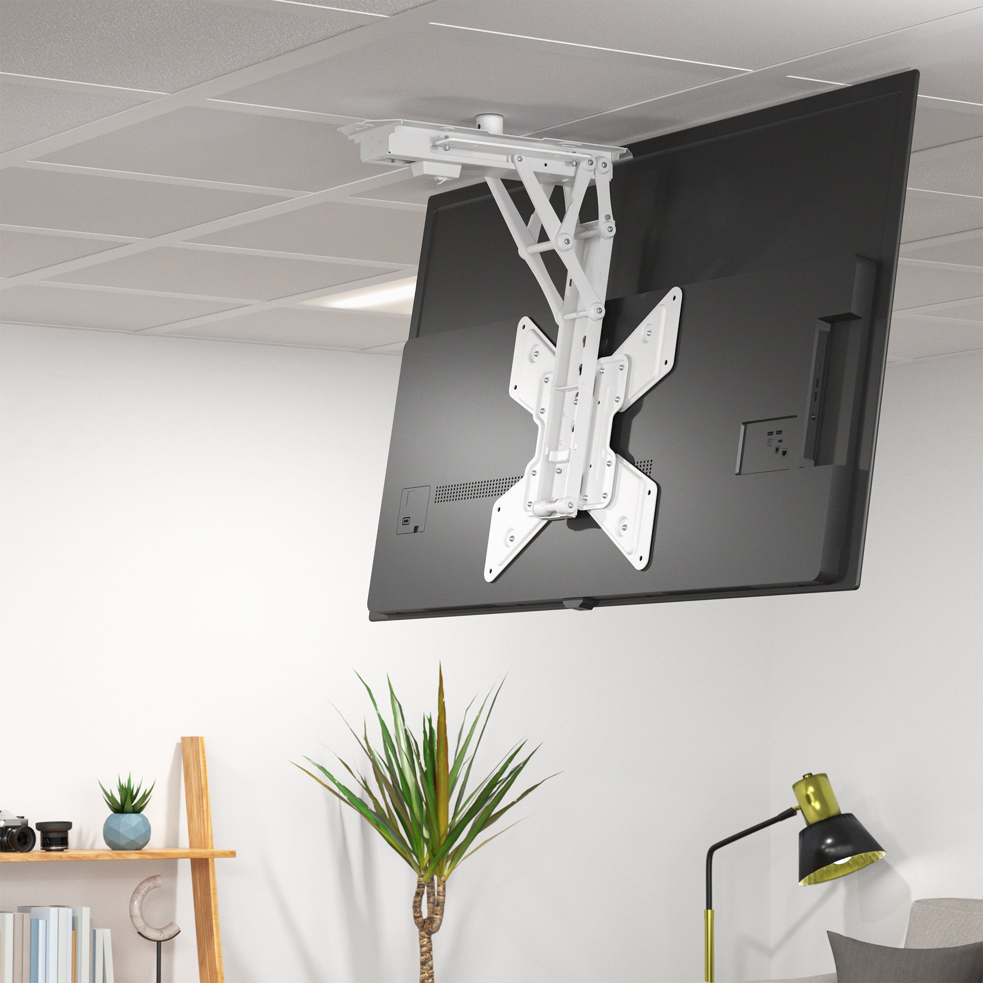 TV mounted on a ceiling bracket in an office setting with plants and a lamp.