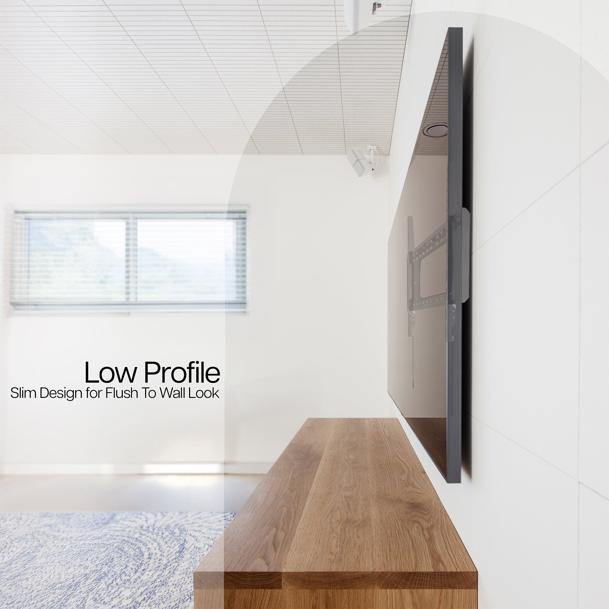 Low Profile TV Mount in living room.