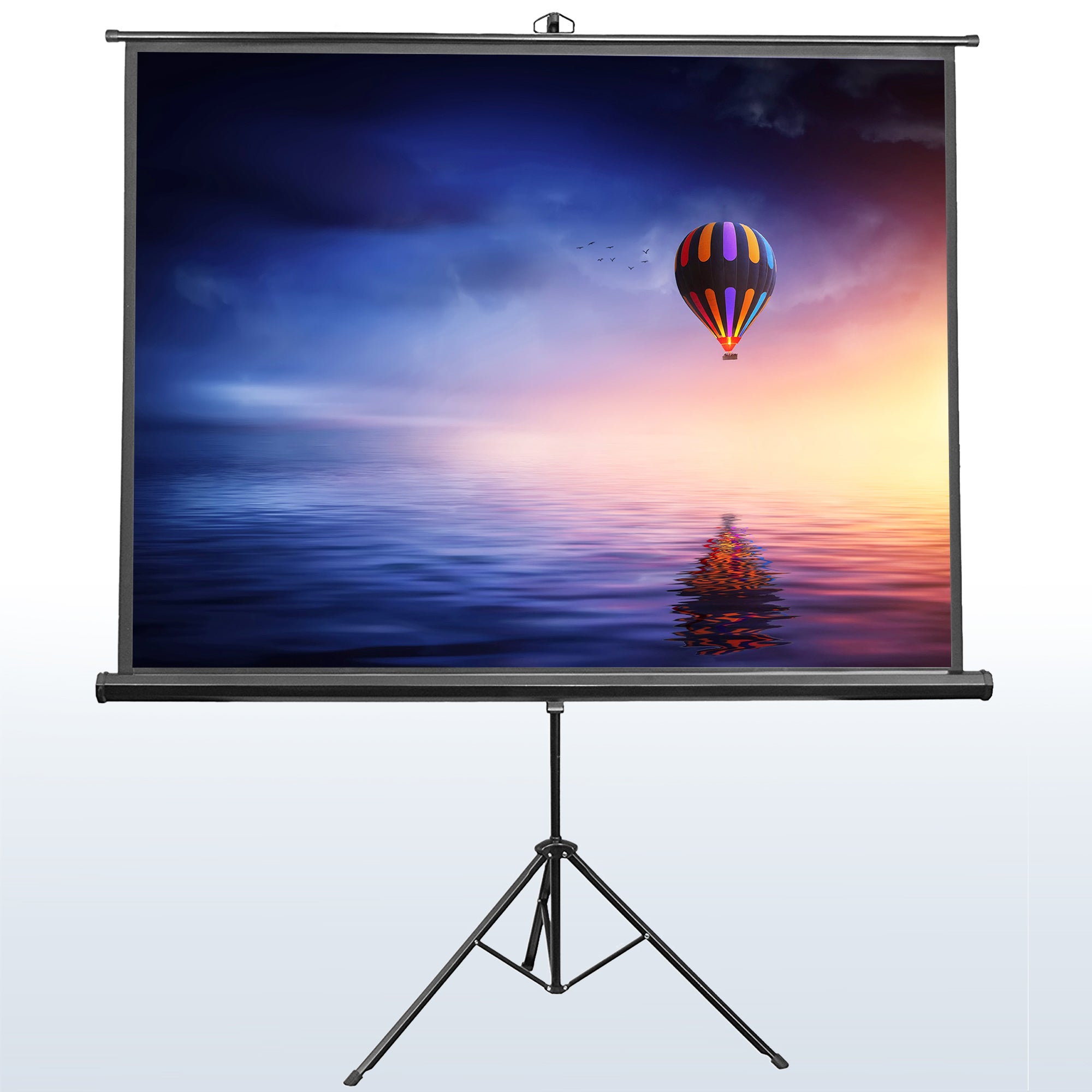 100in Portable Tripod Projector Screen 4:3