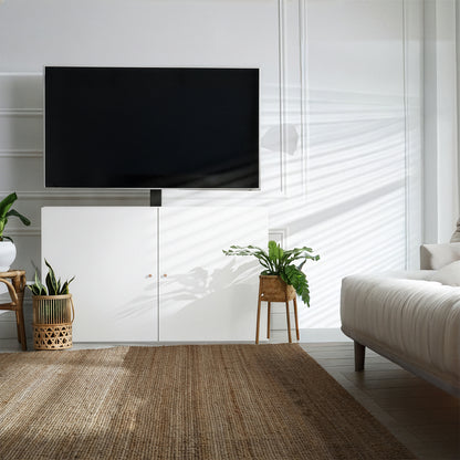 Modern living room with a television concealed in a TV cabinet, plants, and a rug.
